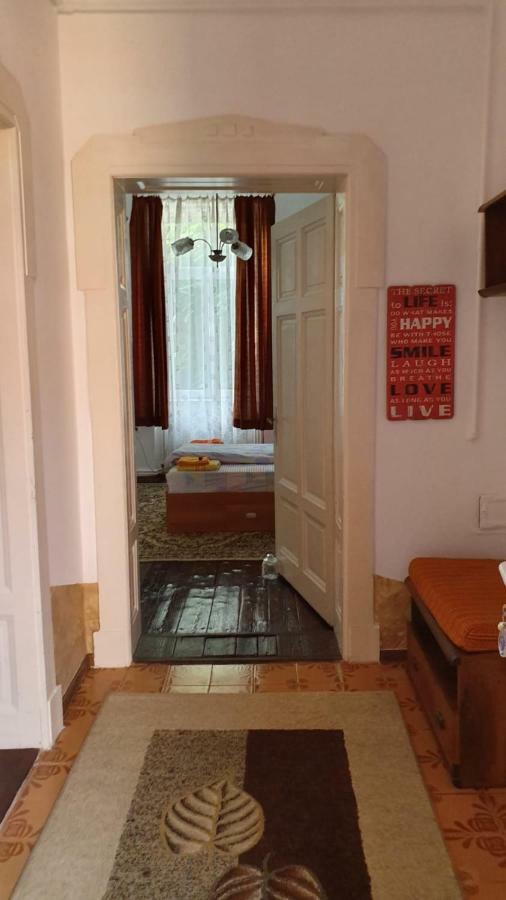 Casa Victoria Apartment Targu Mures Exterior photo